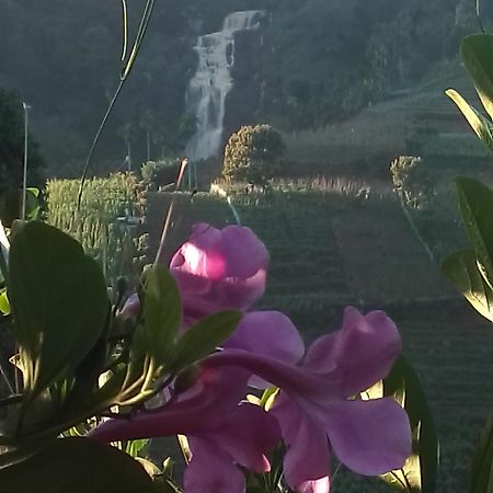 Cascade Vally Елла Екстер'єр фото